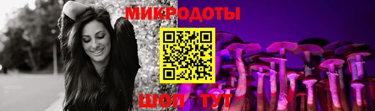 Нижний Тагил  Псилоцибиновые грибы ЛСД  Псилоцибиновые грибы GOLDEN TEACHER  Вход с VPN 