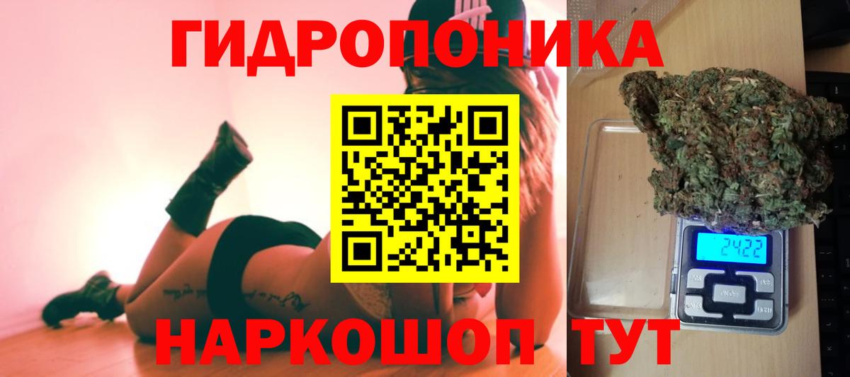 Бошки марихуана Ganja  Бошки Шишки конопля  Канабис MAZAR  Нижний Тагил  Вход с VPN 